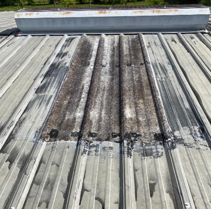 Ridge Vent 1
