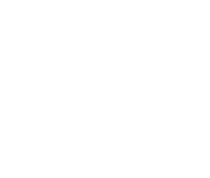 Vanson Logo