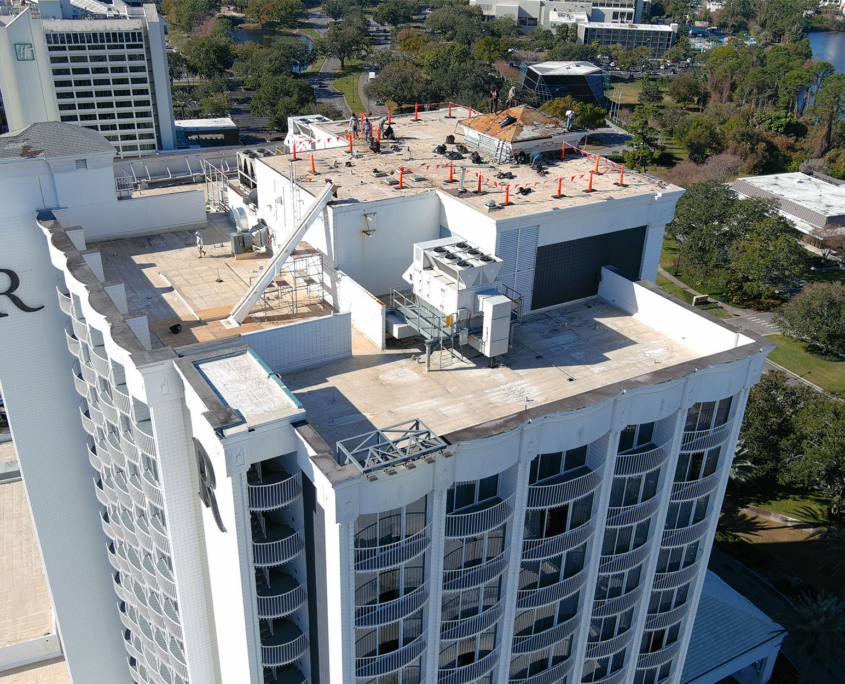 Roof Wide View